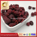 Factory Price Dried Blueberry Preserved Blueberry High Quality